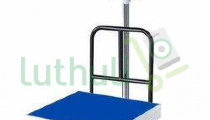 600kgs digital platforms.